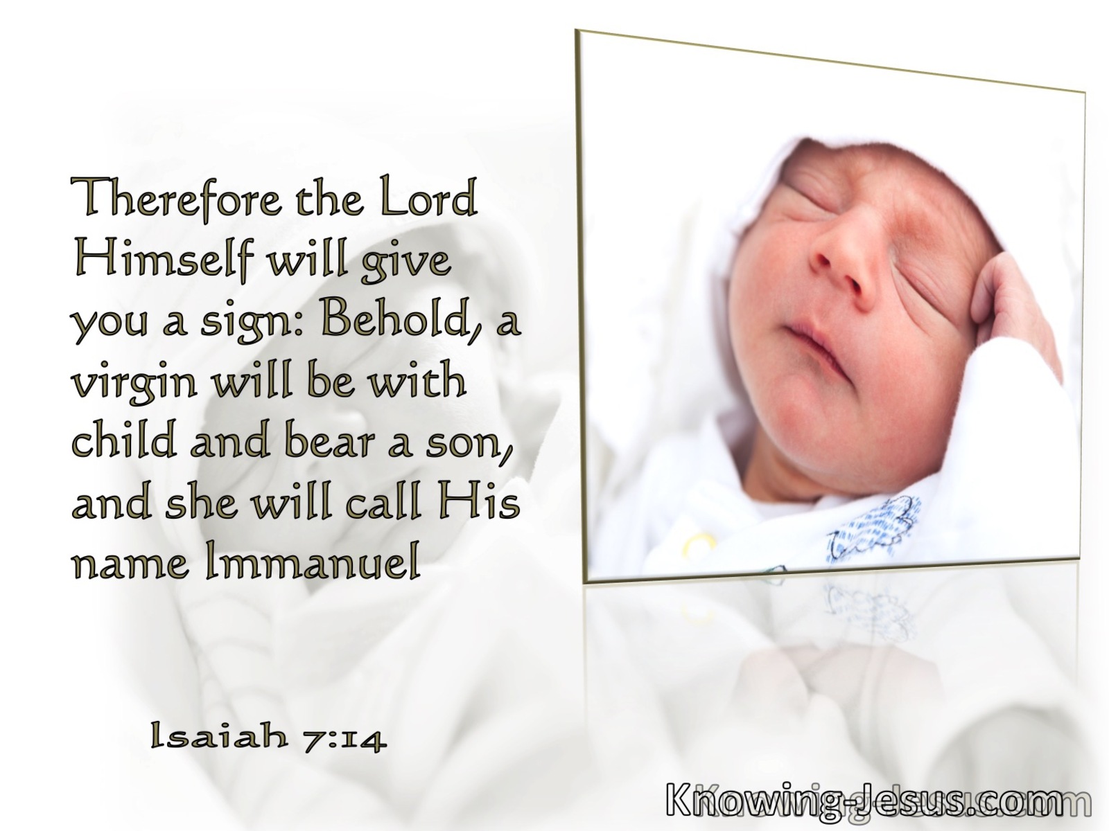 Isaiah 7:14 Behold, A Virgin Shall Bring Forth A Son (white)